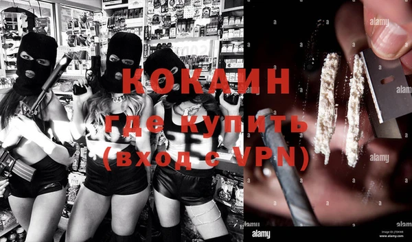 сатива Наволоки