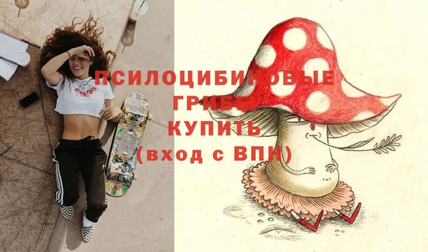 хмурый Надым