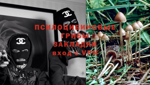 хмурый Надым