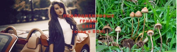 сатива Наволоки
