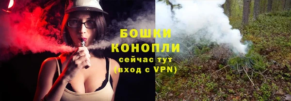 сатива Наволоки