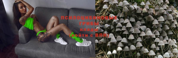 сатива Наволоки