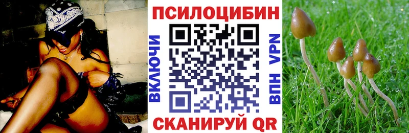 Галлюциногенные грибы мухоморы  мега маркетплейс  Новая Усмань 