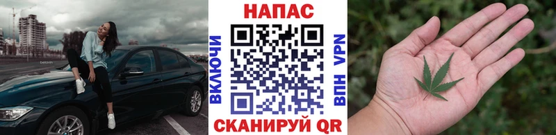 Канабис SATIVA & INDICA  сколько стоит  Новая Усмань 